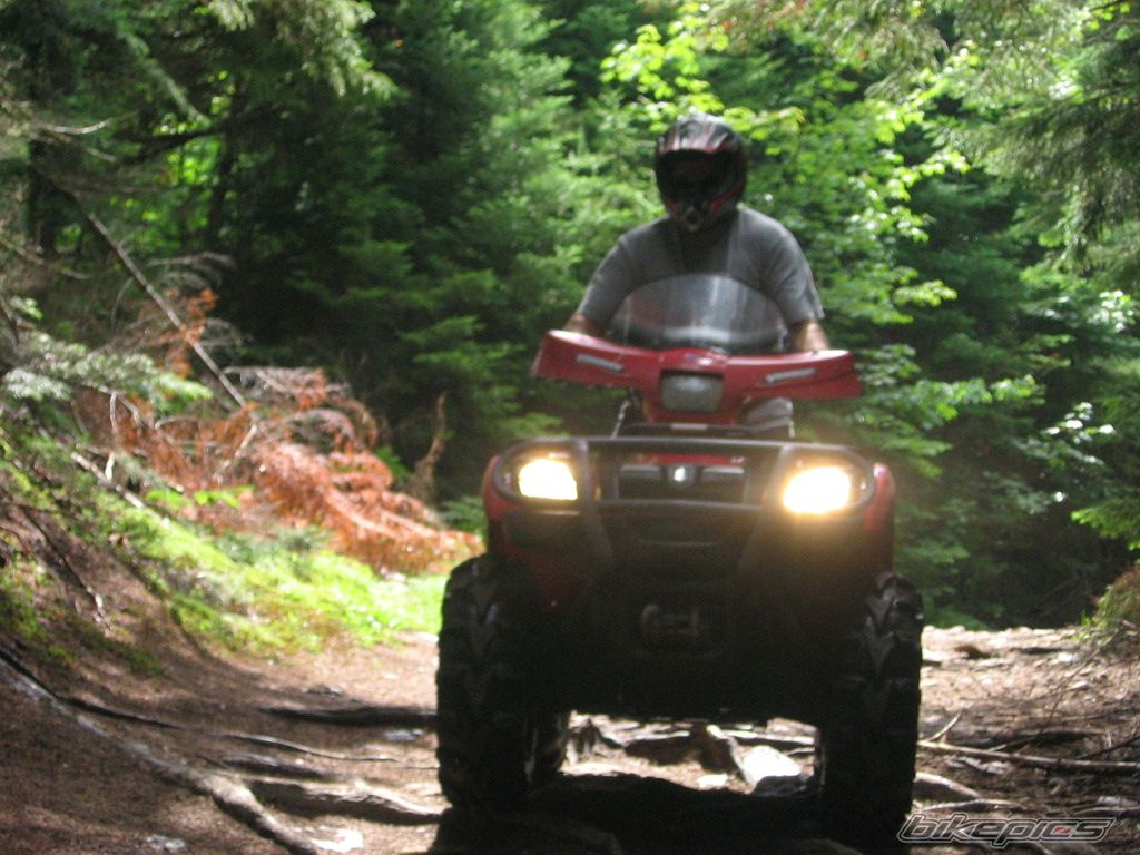 Bike Photo 1391065
