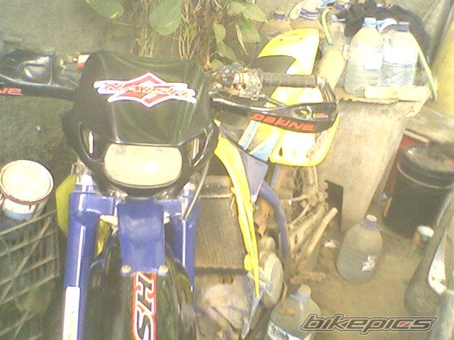 Photo 1391077