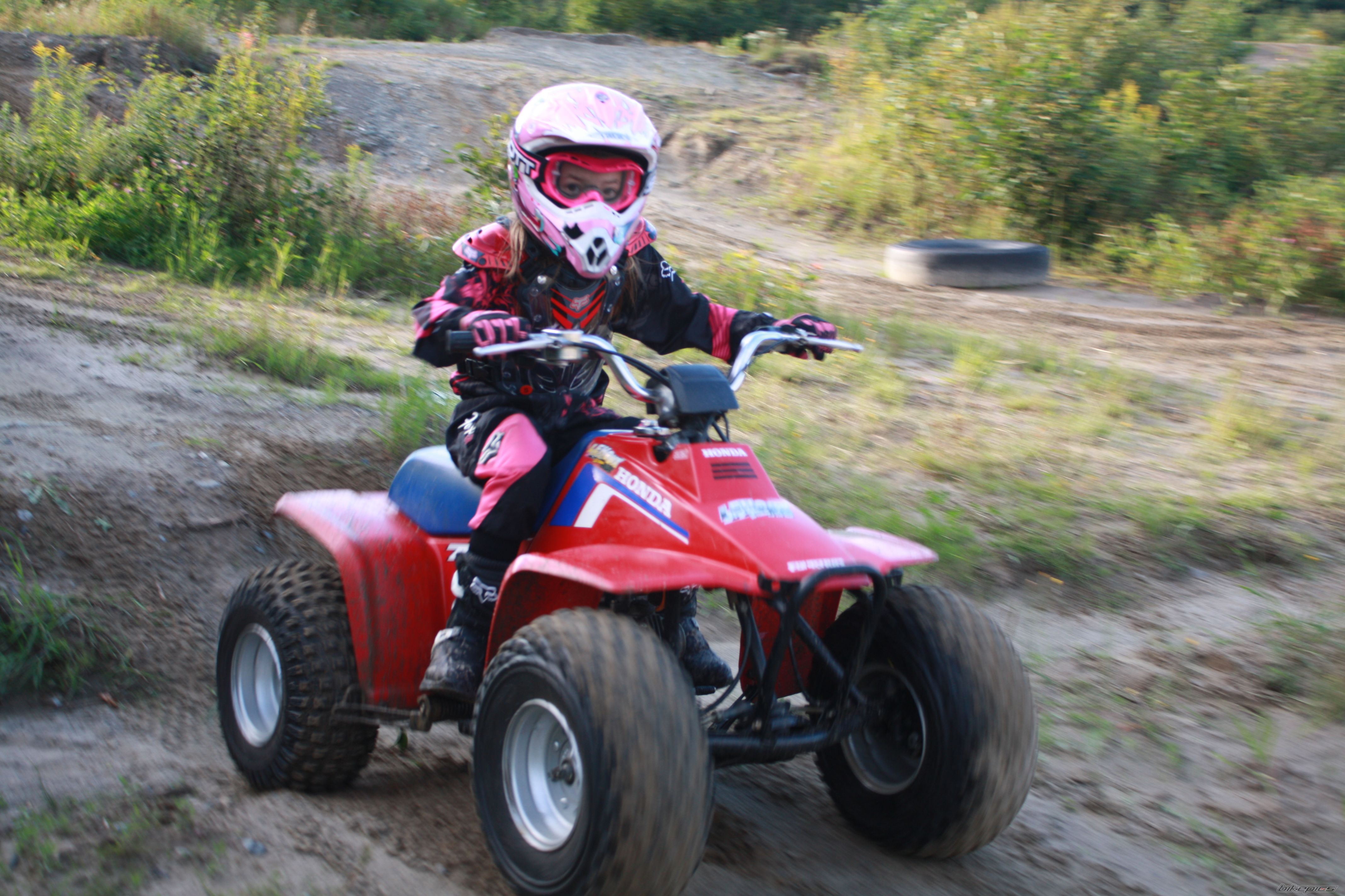 Photo 1391085
