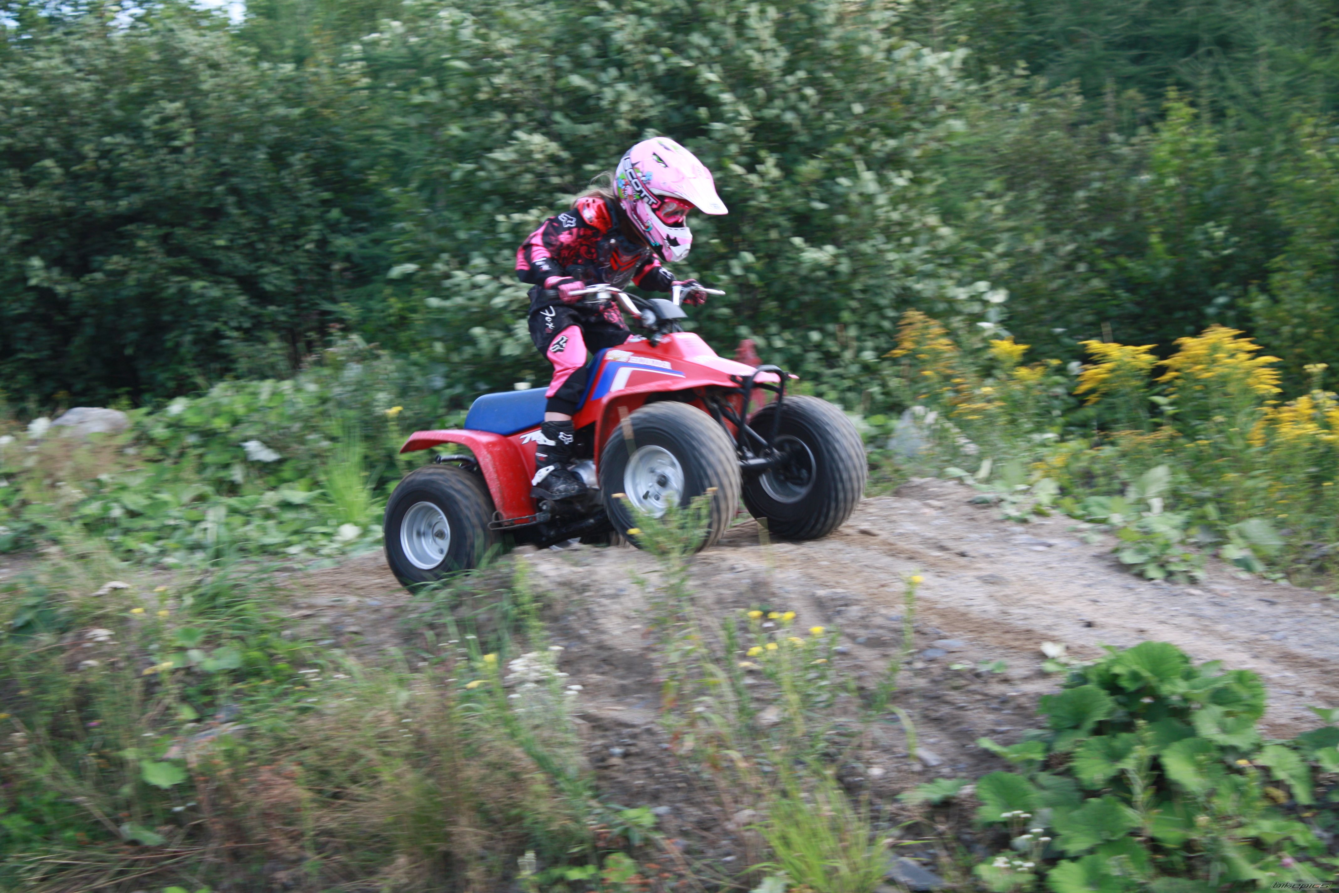 Photo 1391091
