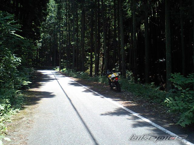 Bike Photo 1391097