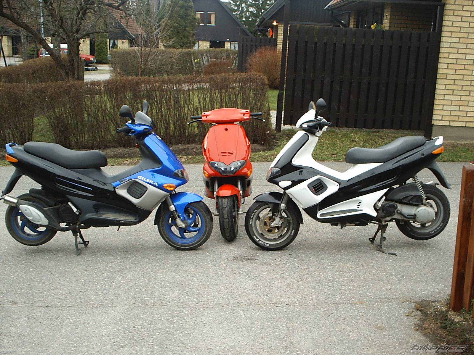 Photo 139112