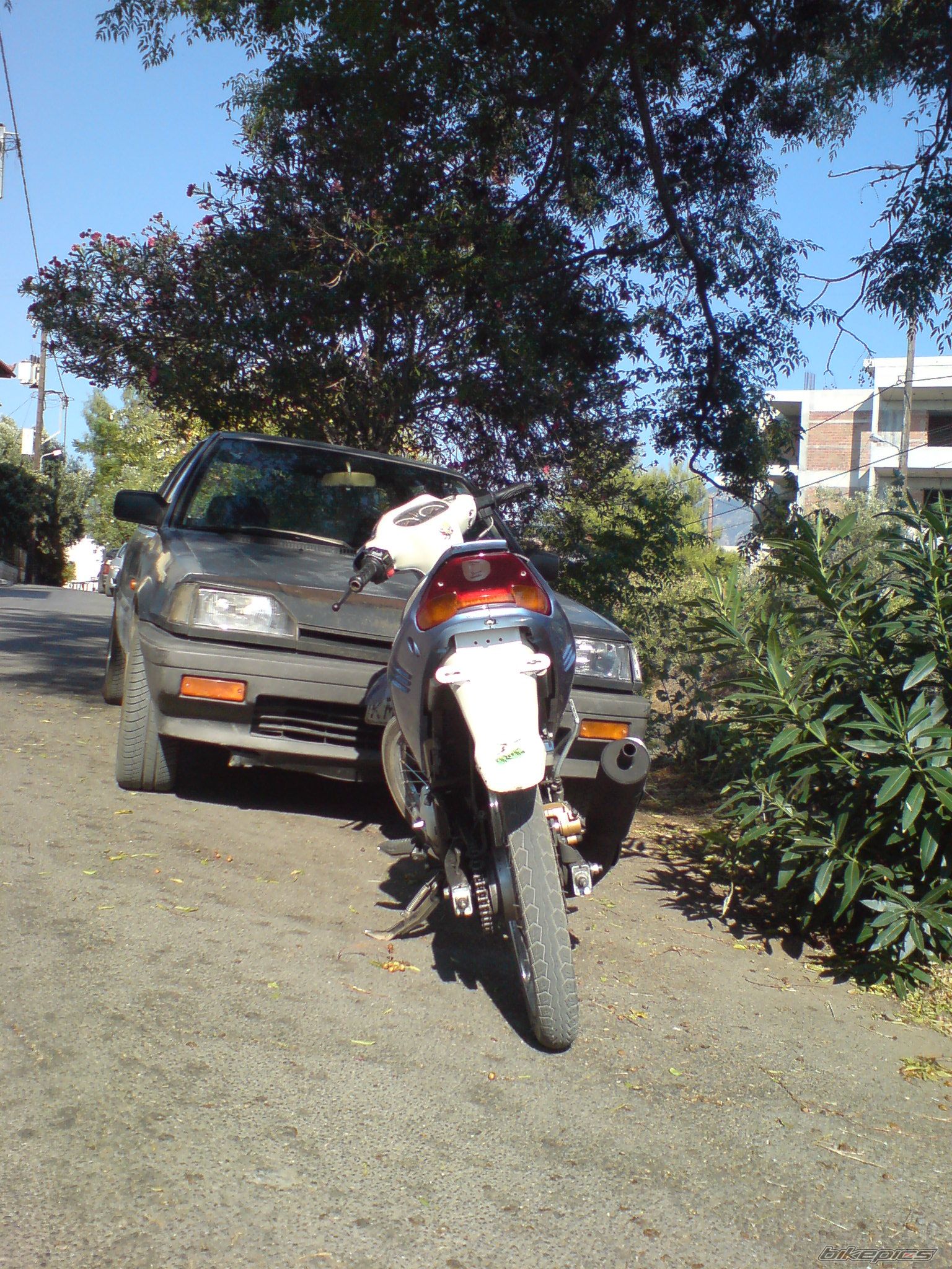Photo 1391154