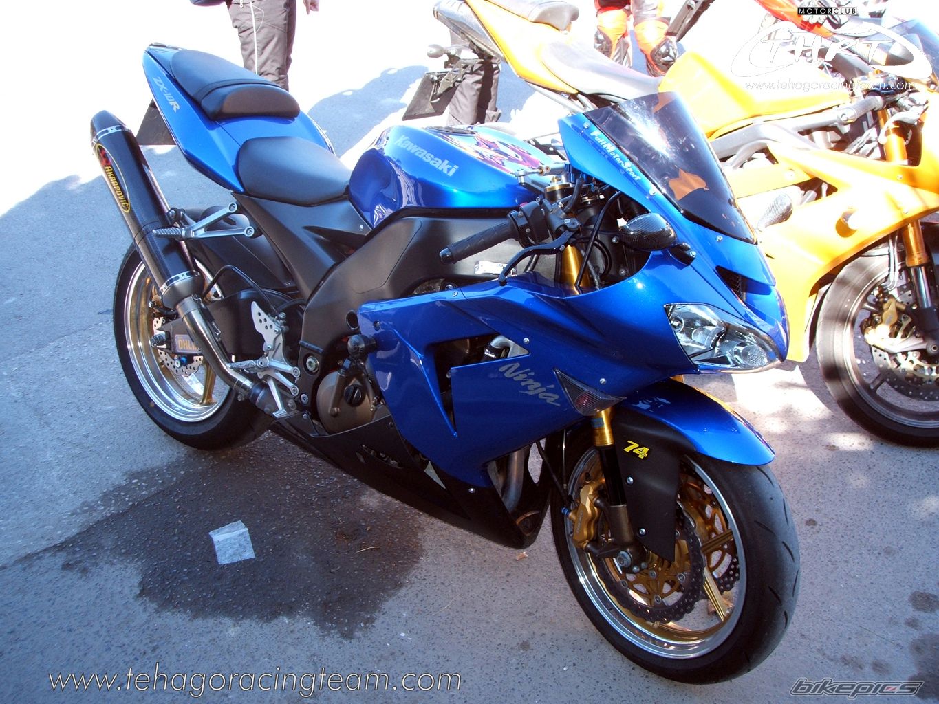 Photo 1391320