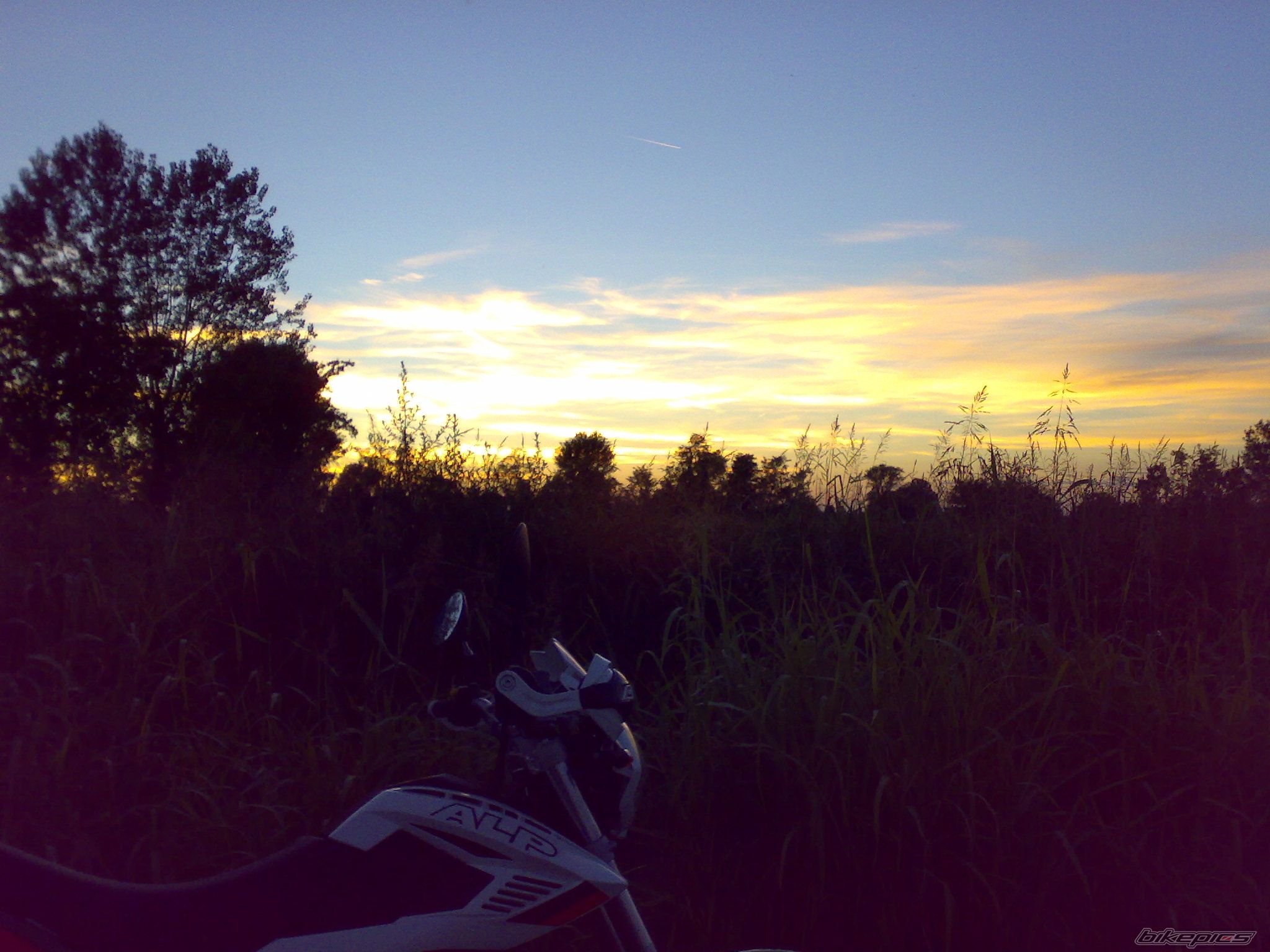 Photo 1391334