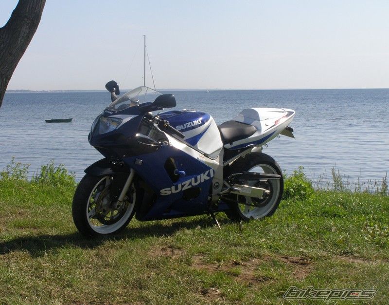 Photo 1391355