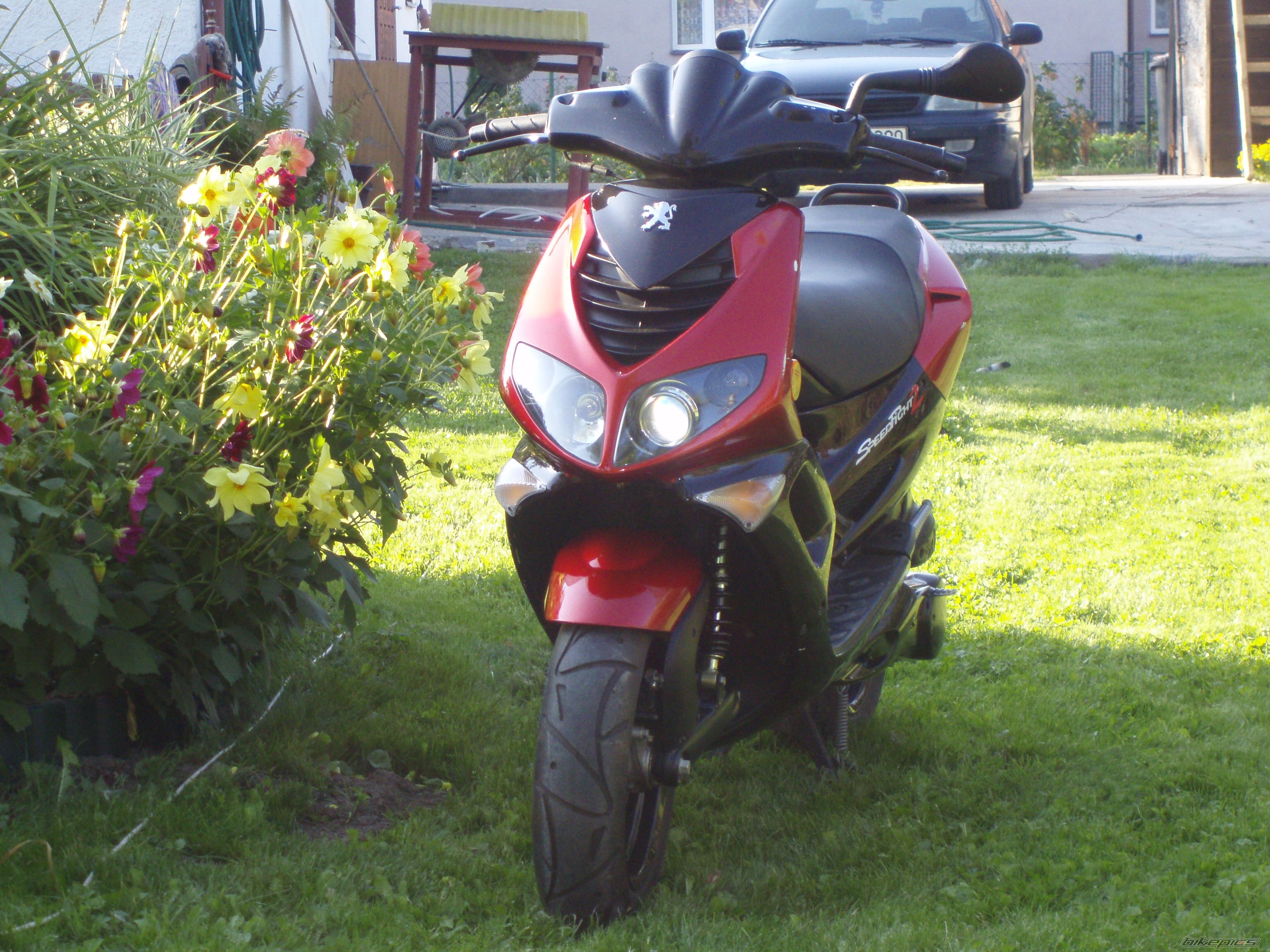 Photo 1391396