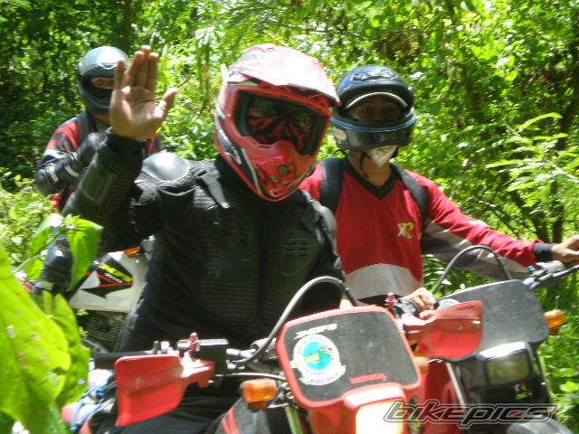 Photo 1391399