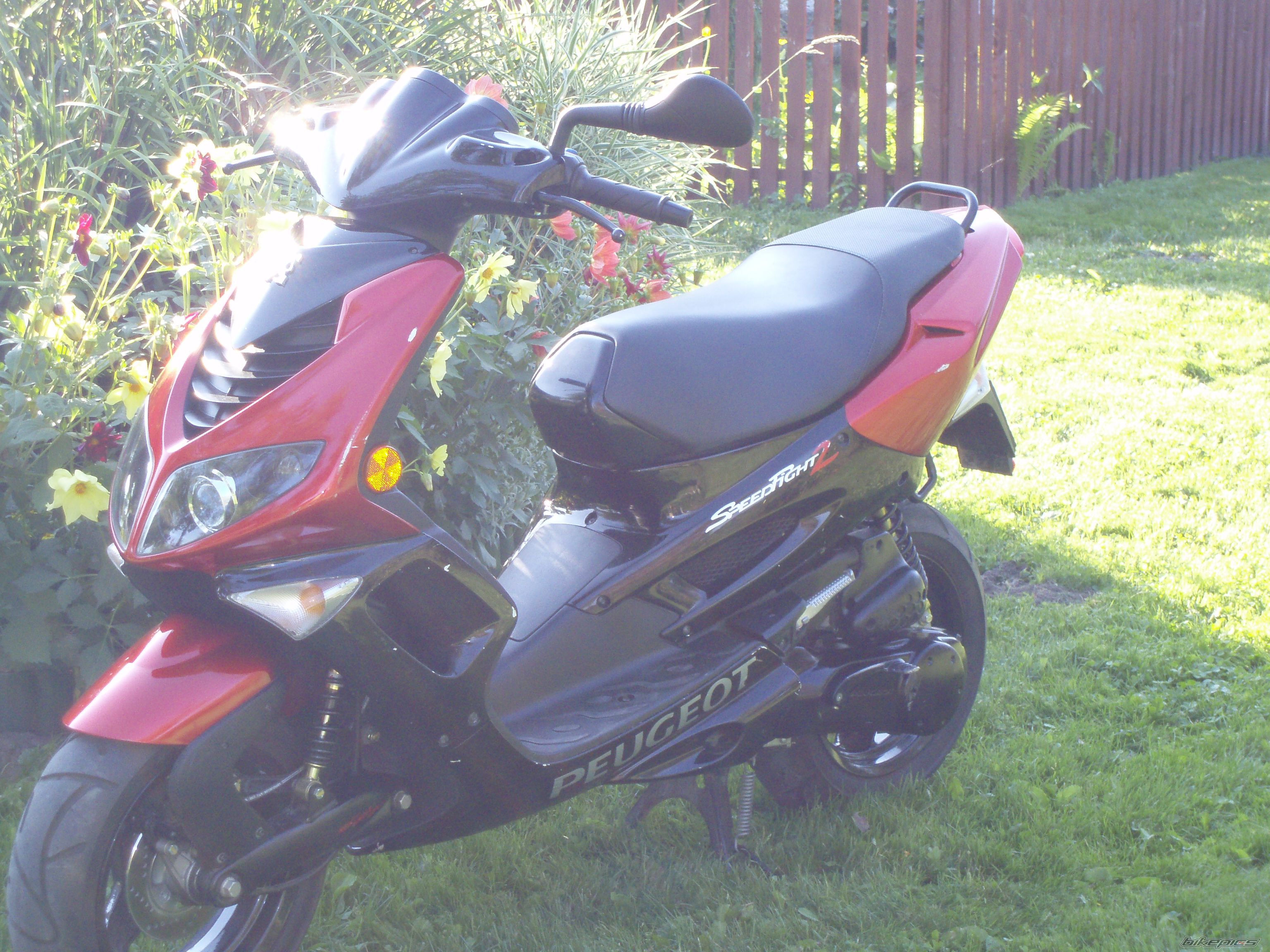 Photo 1391402