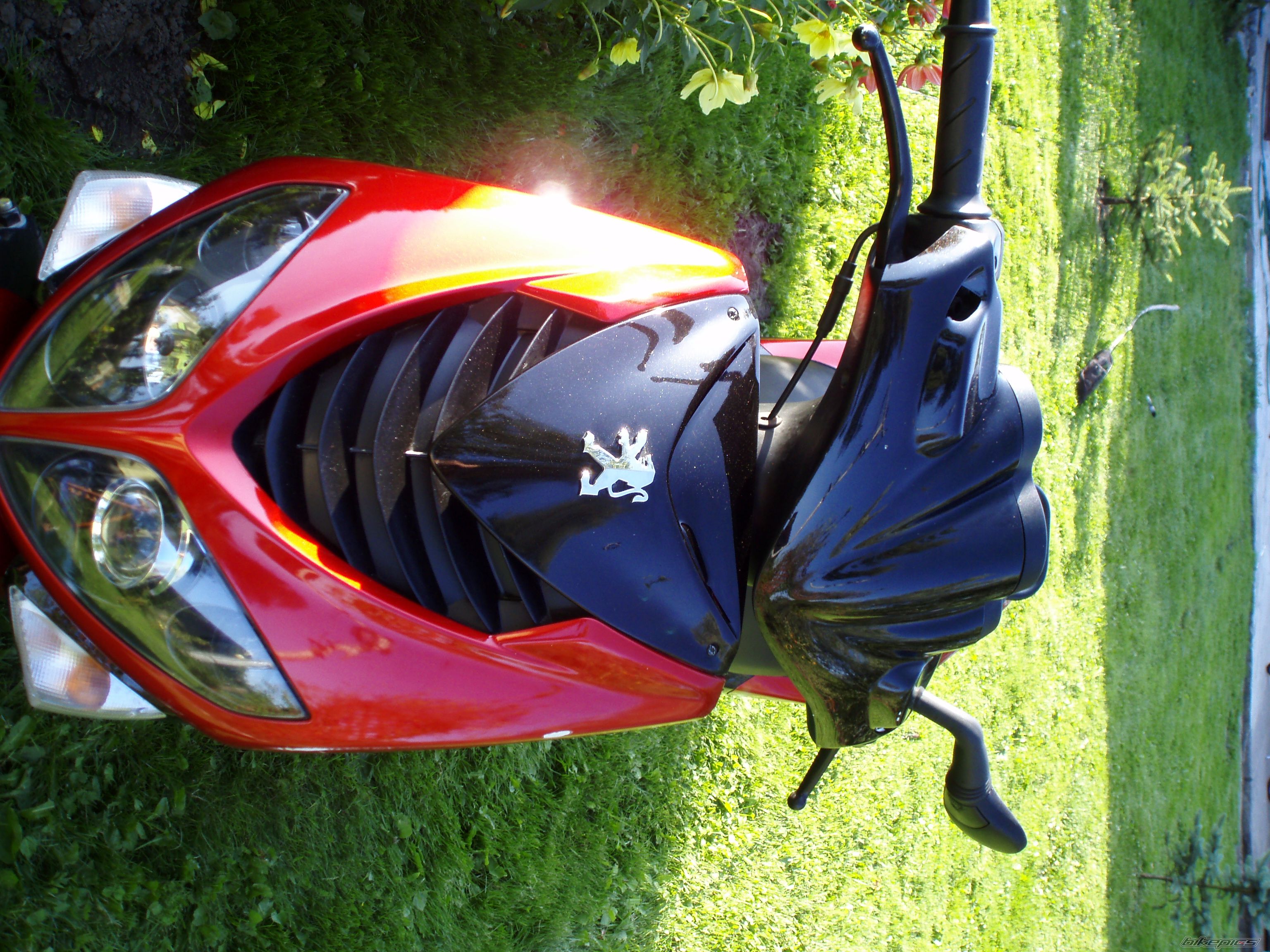 Photo 1391419
