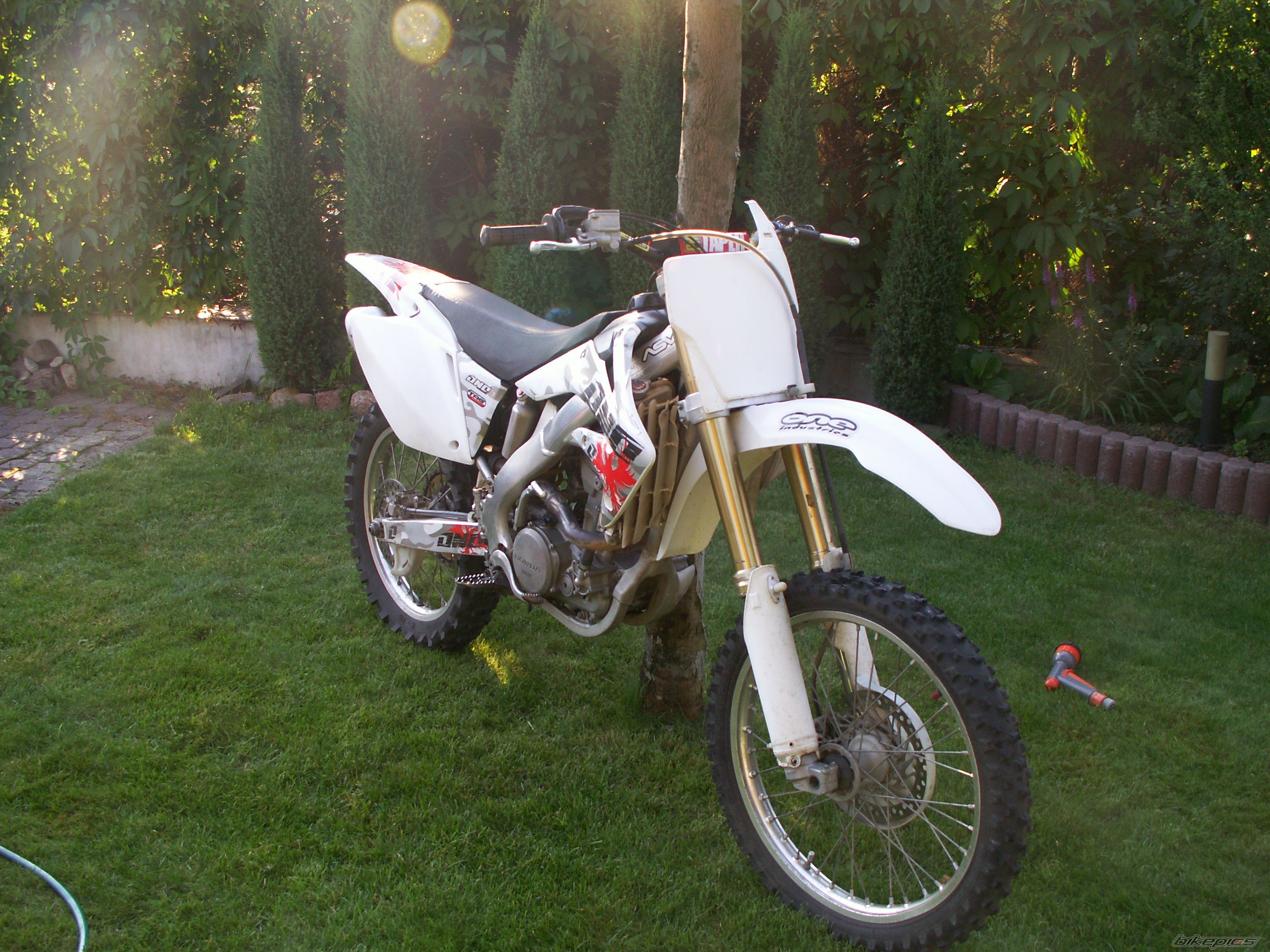 Photo 1391427