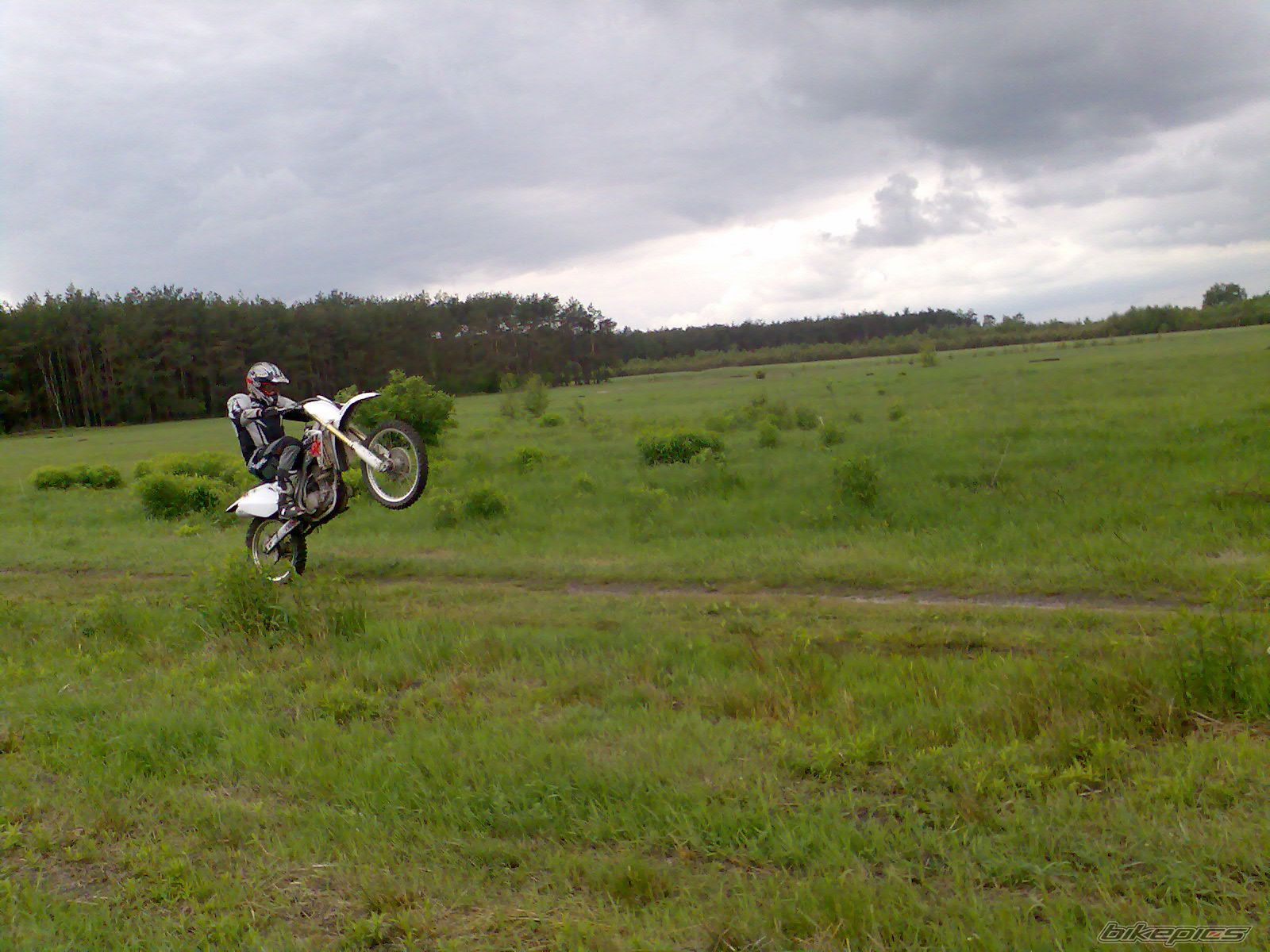 Photo 1391439