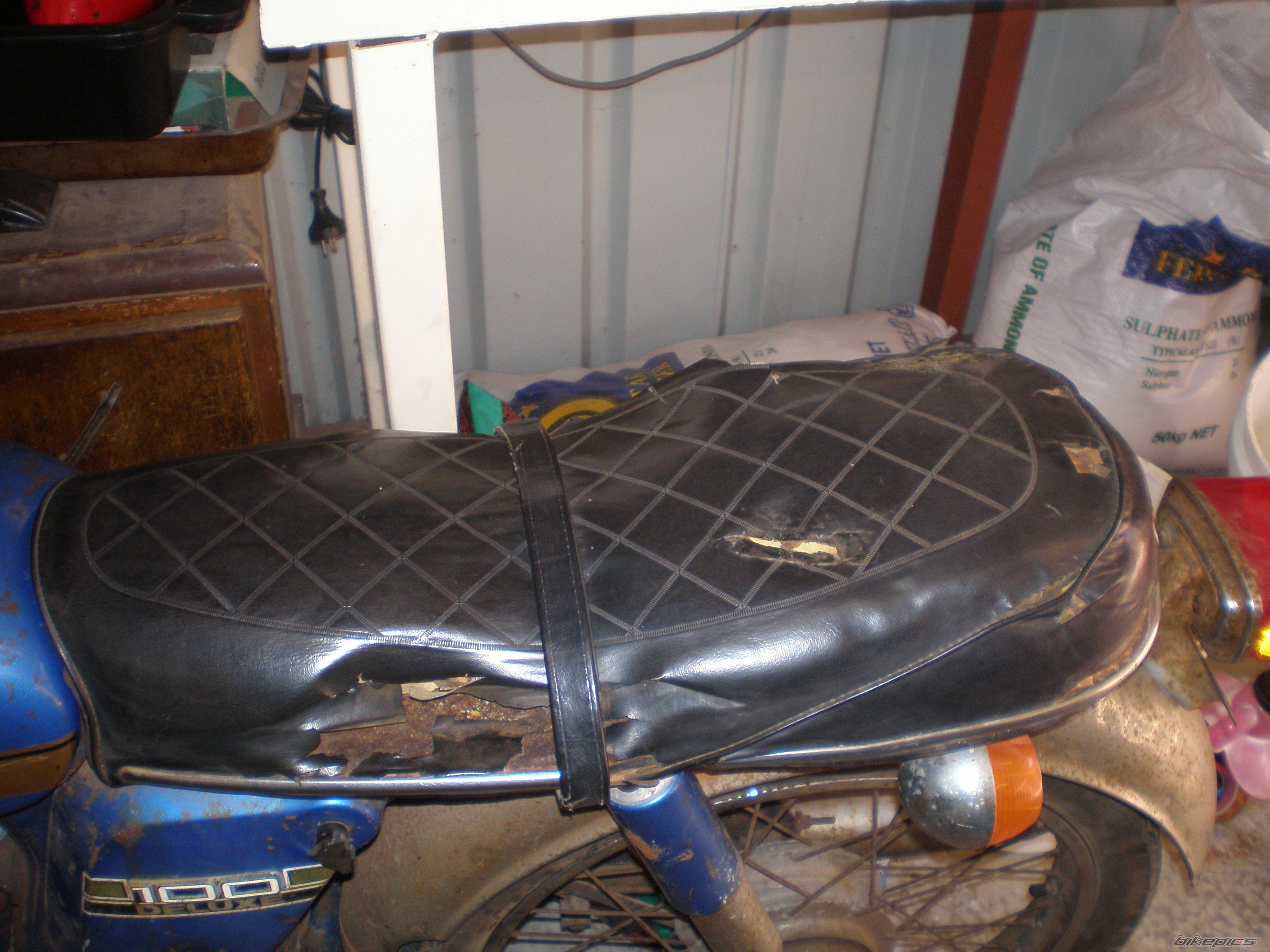 Photo 1391440