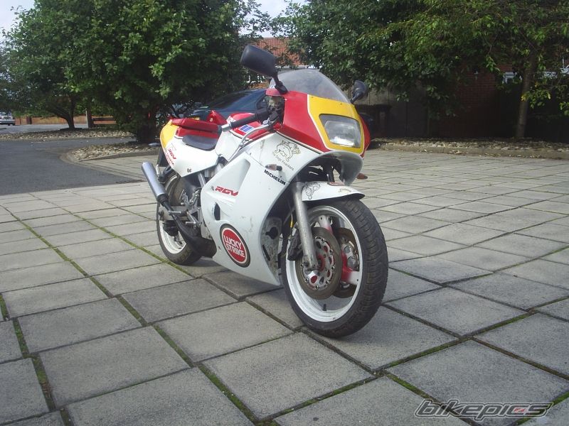 Photo 1391492