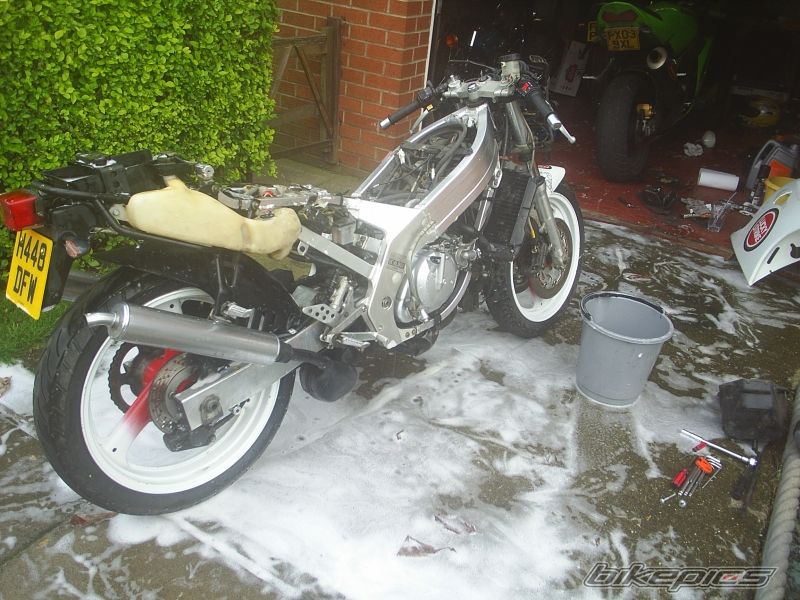 Photo 1391493