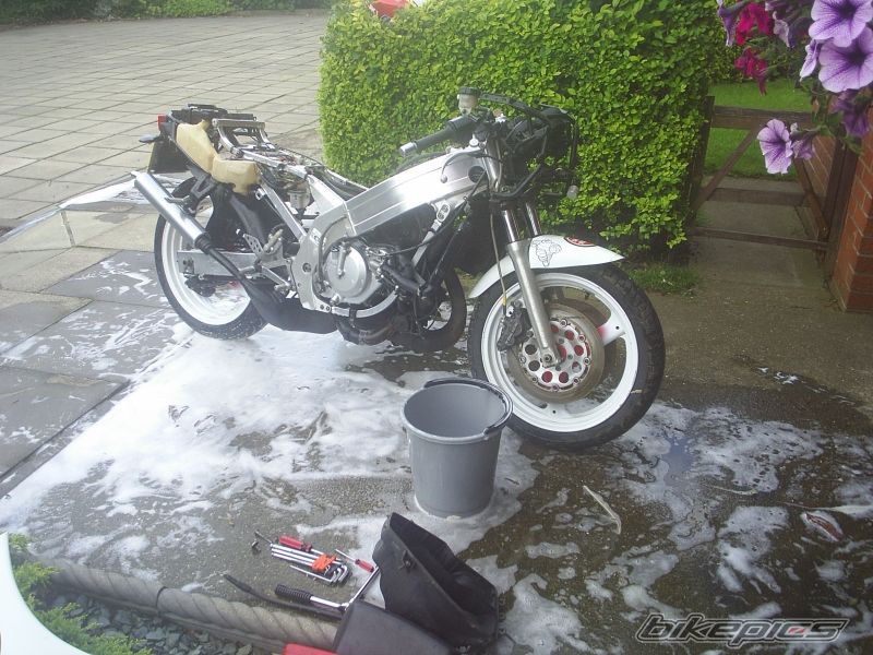 Photo 1391496