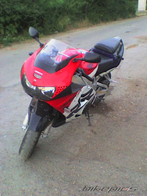 Photo 1391501