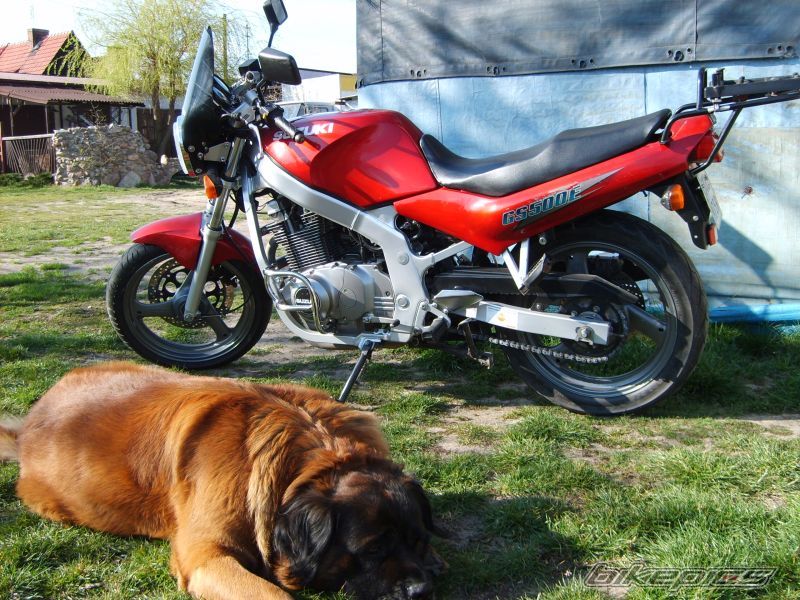 Bike Photo 1391532