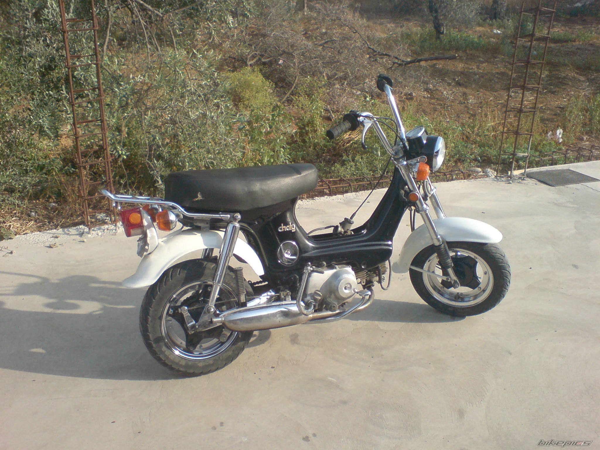 Photo 1391537