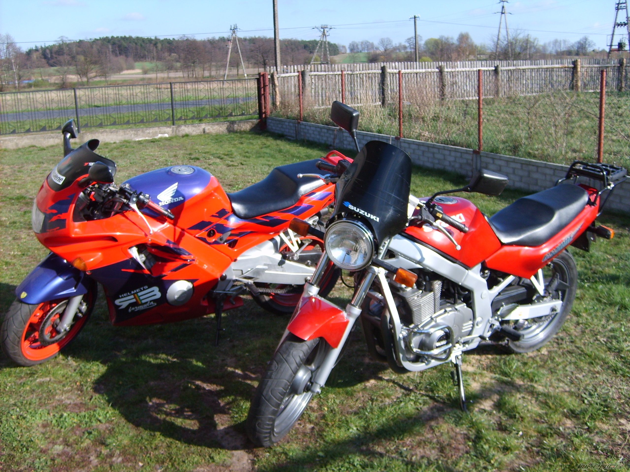 Photo 1391541
