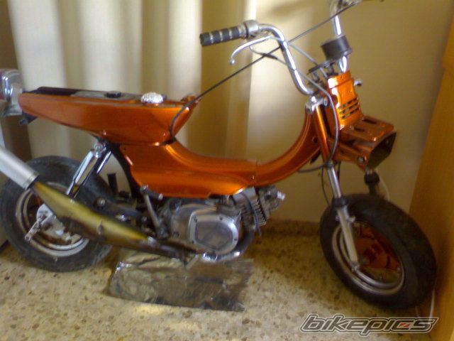 Photo 1391542