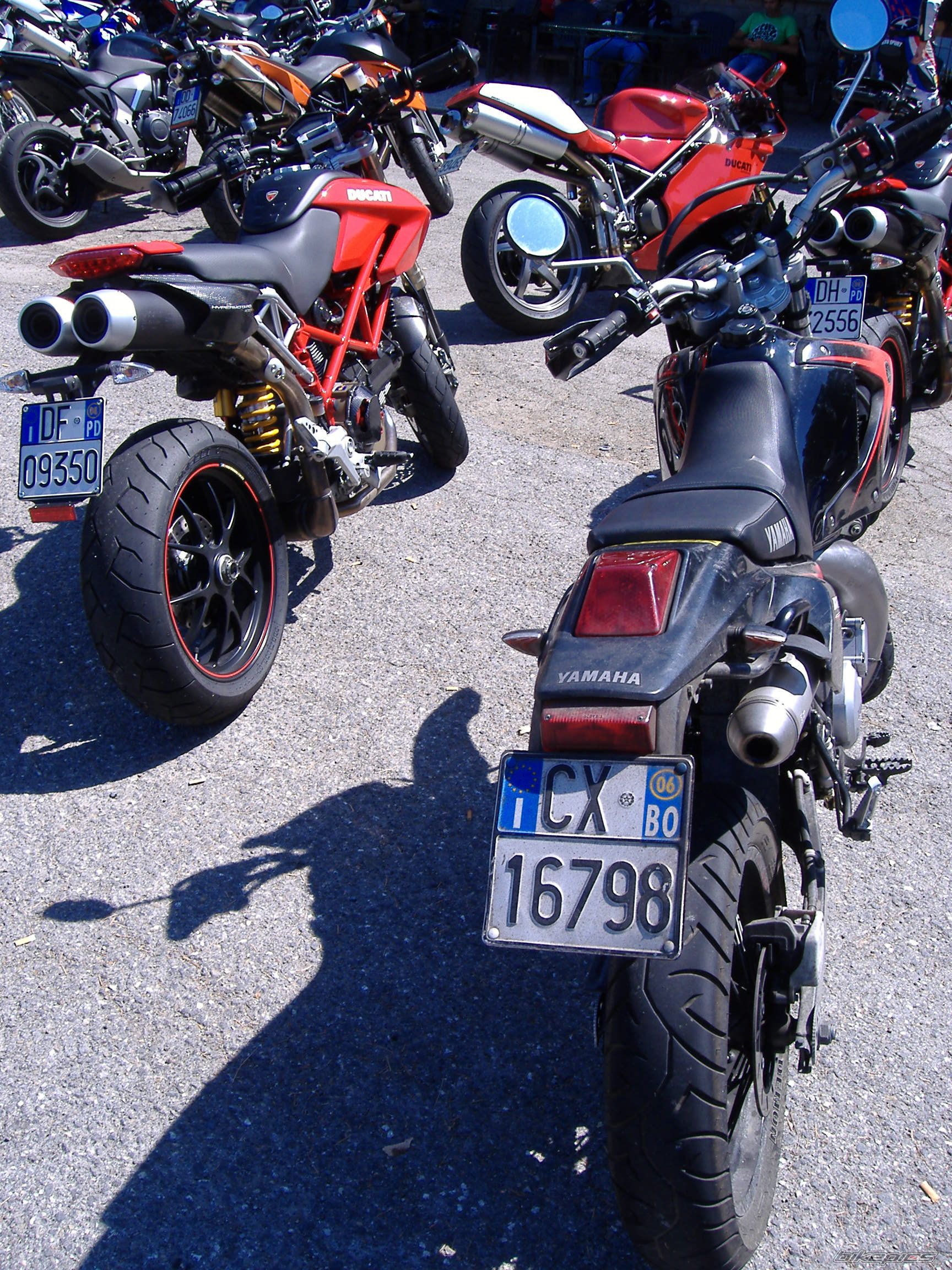 Photo 1391548