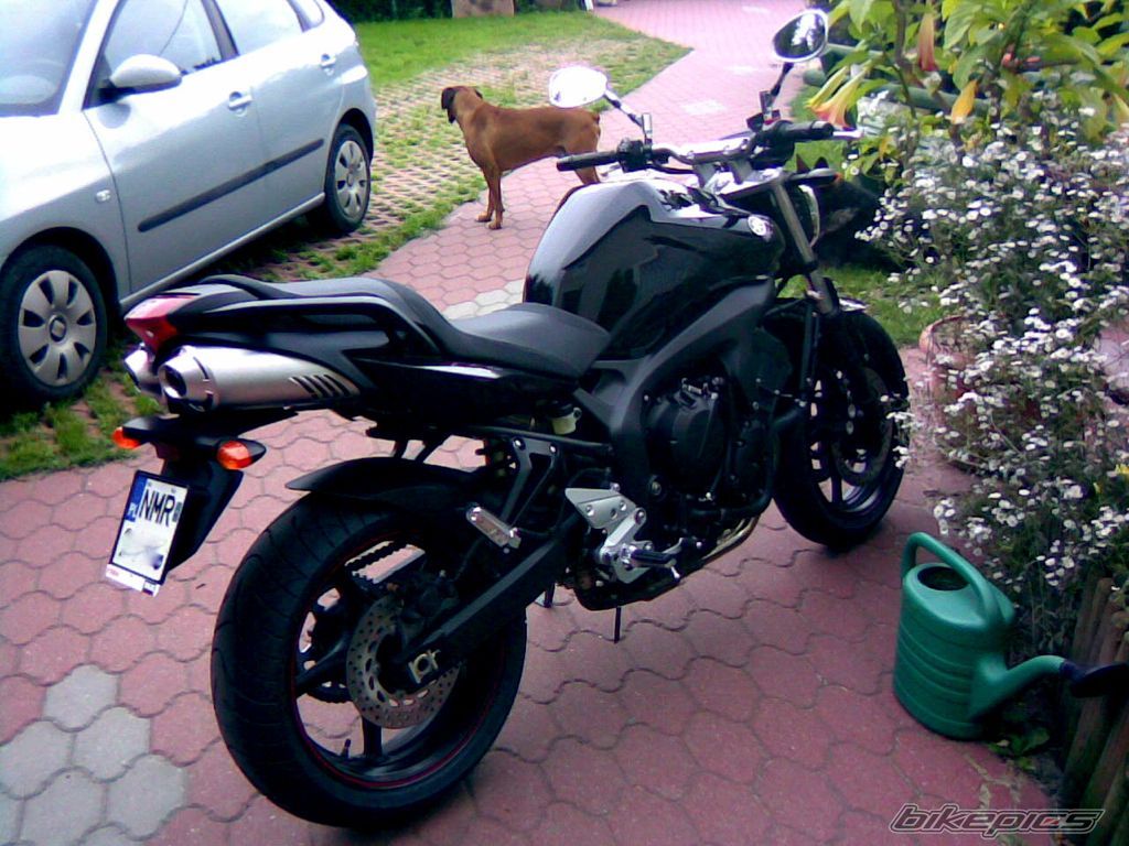 Photo 1391554
