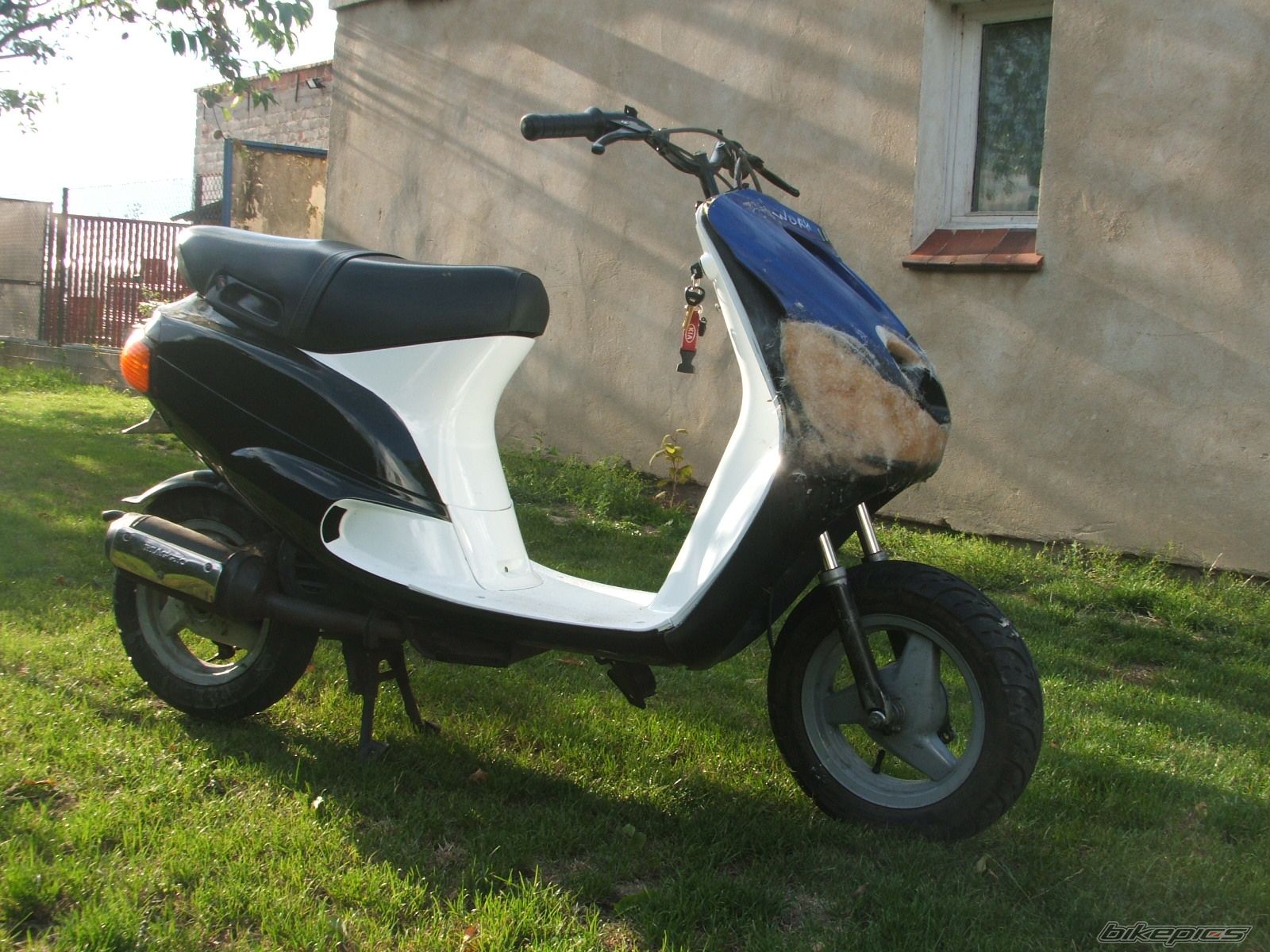 Photo 1391655