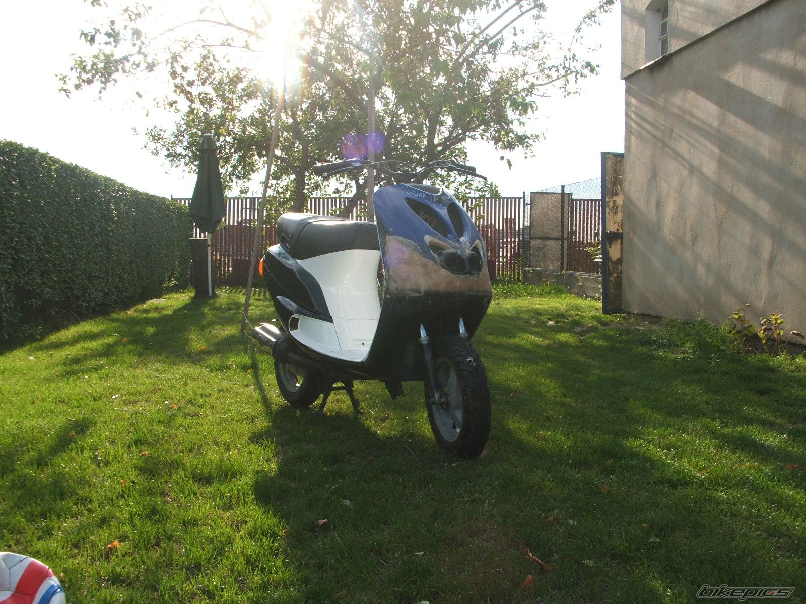 Photo 1391664
