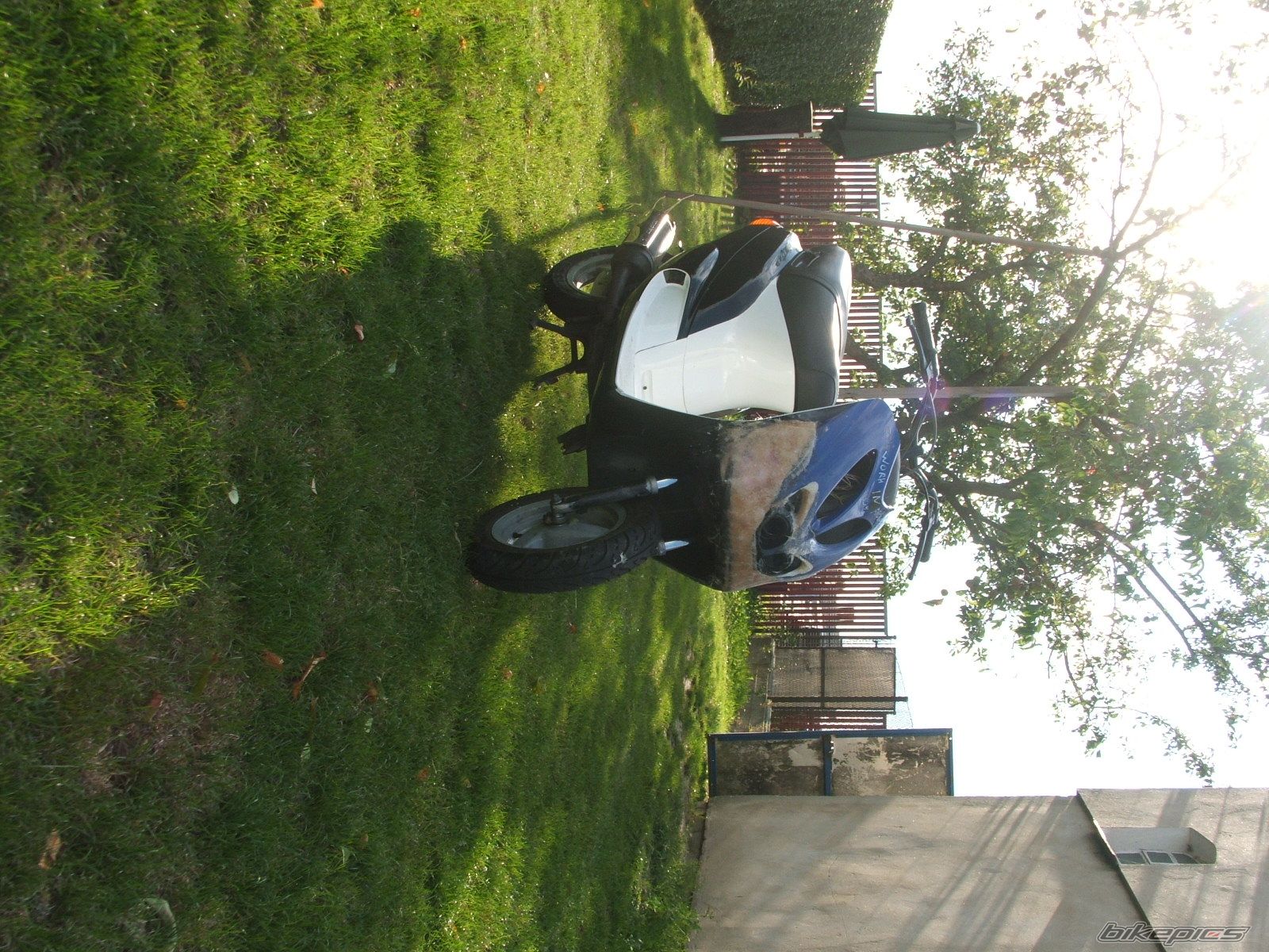 Photo 1391670