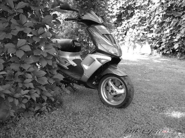 Photo 1391905