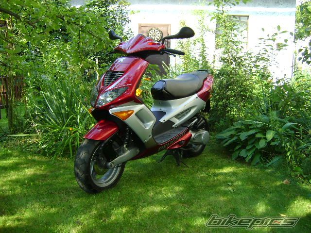 Photo 1391907