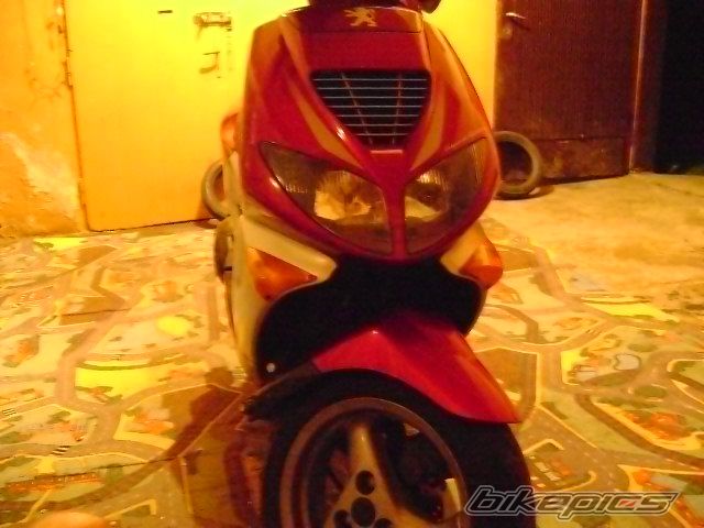 Photo 1391911