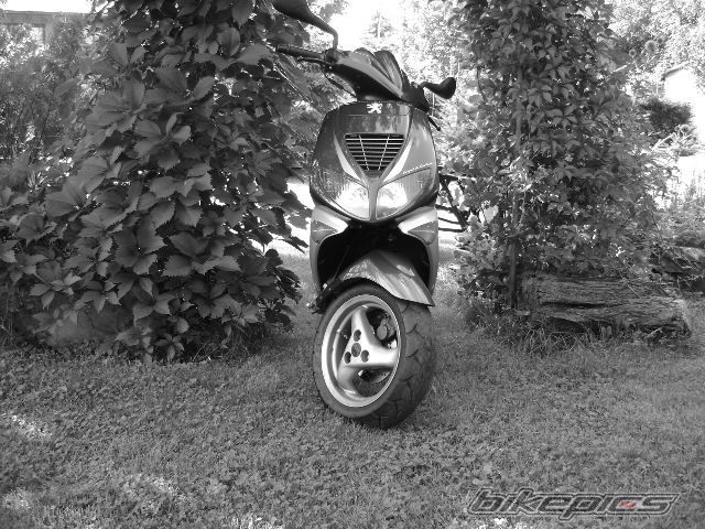 Photo 1391915