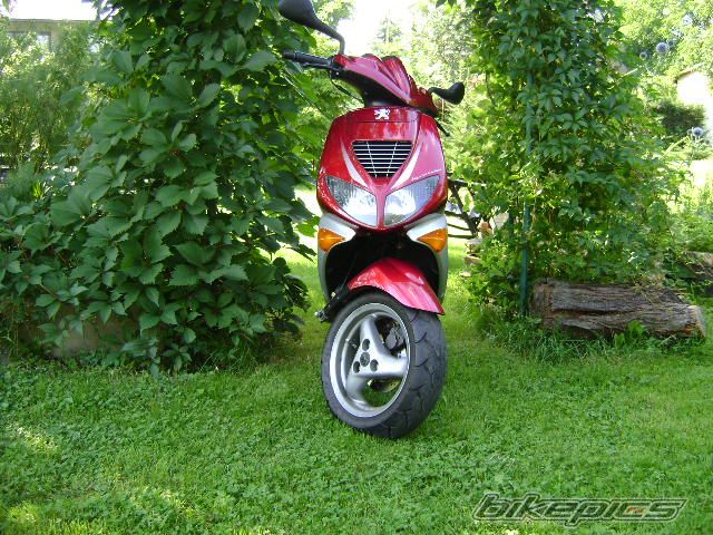 Photo 1391916