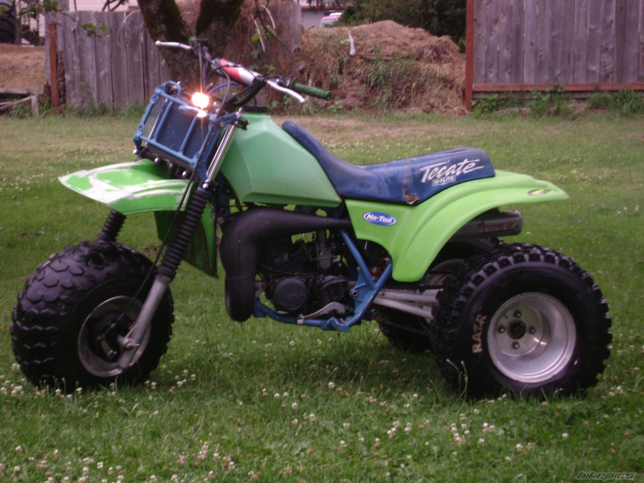 Photo 1391983