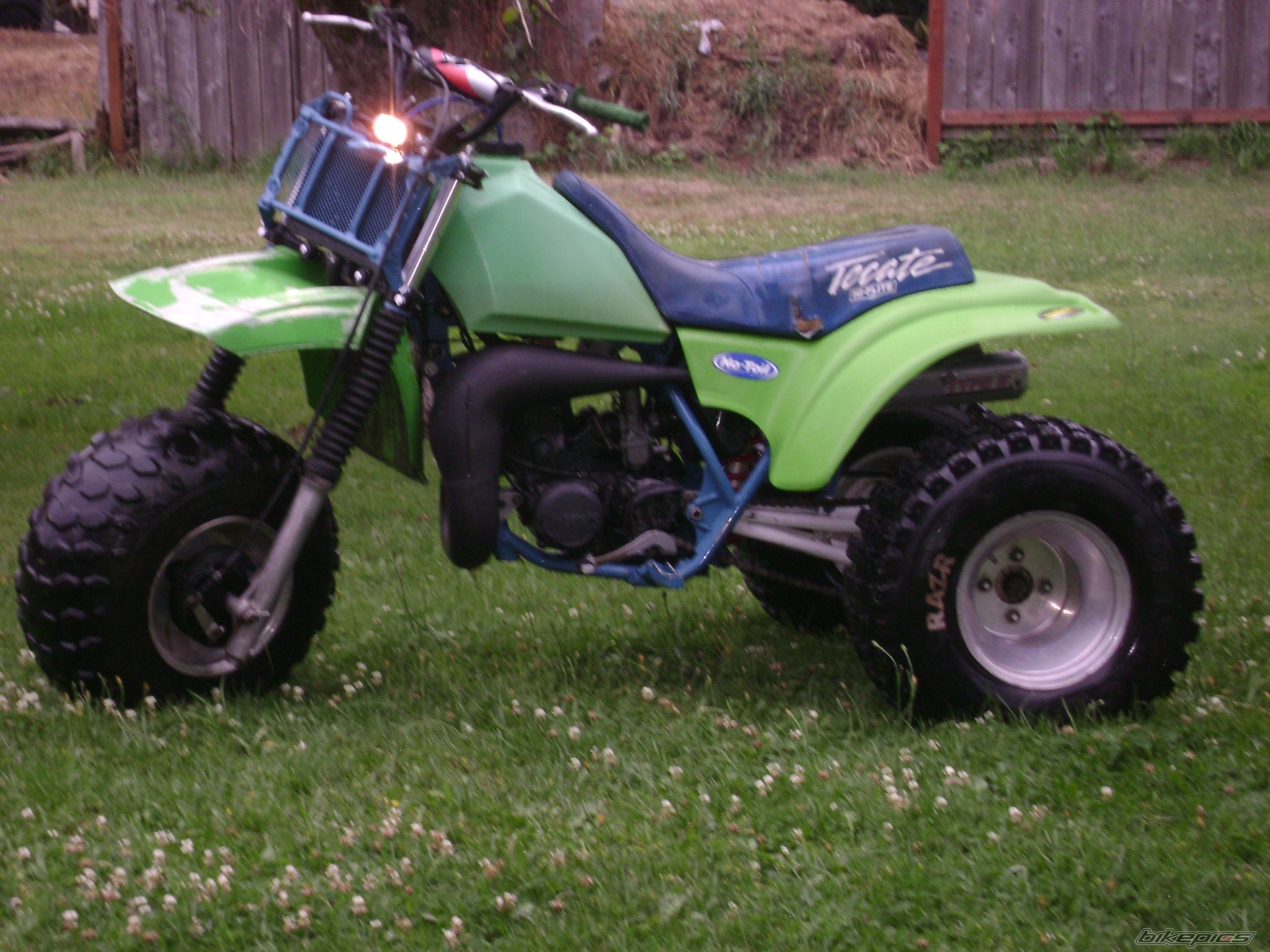 Photo 1391984