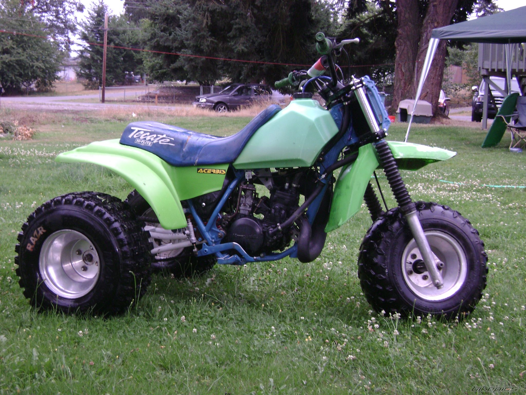 Photo 1391986