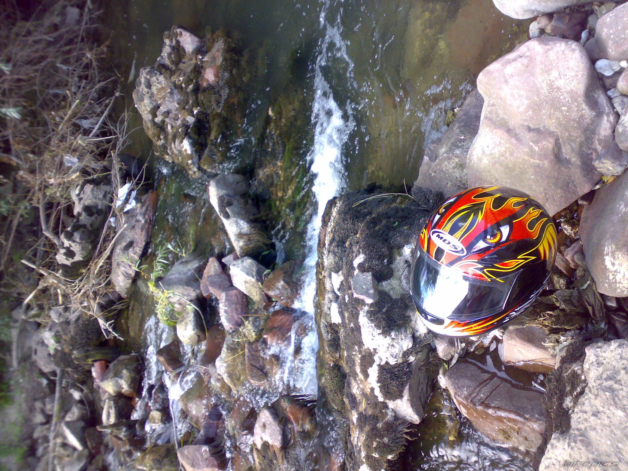 Photo 1392007