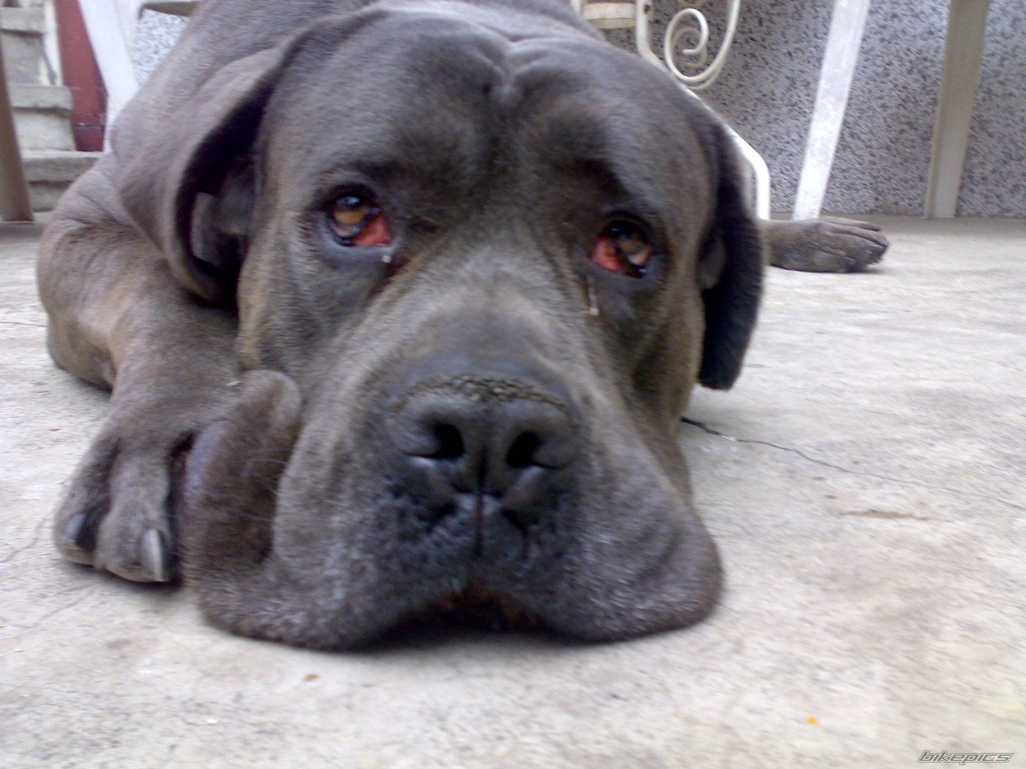 Photo 1392011
