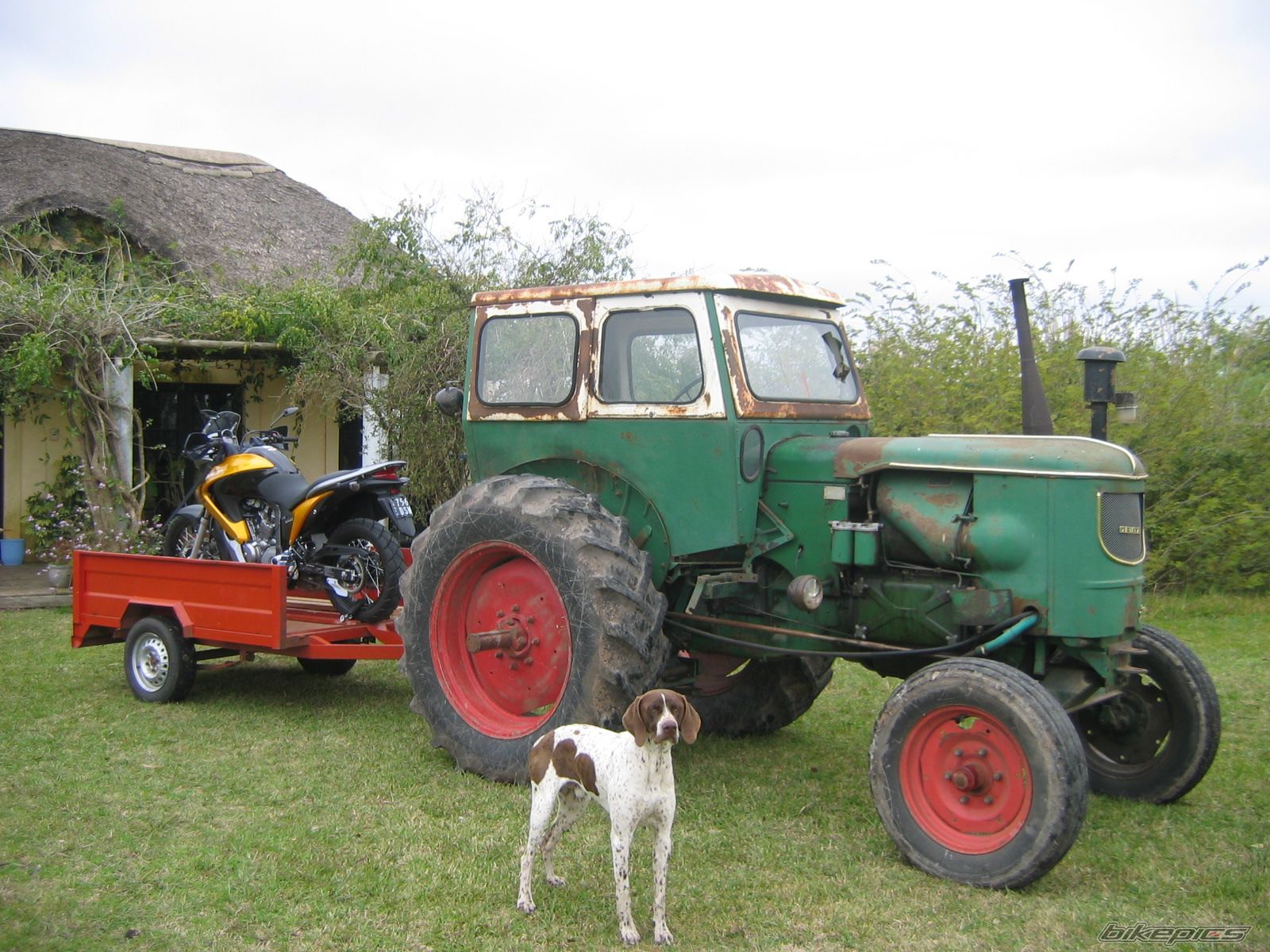 Photo 1392241