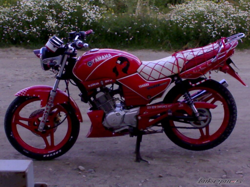 Photo 1392248