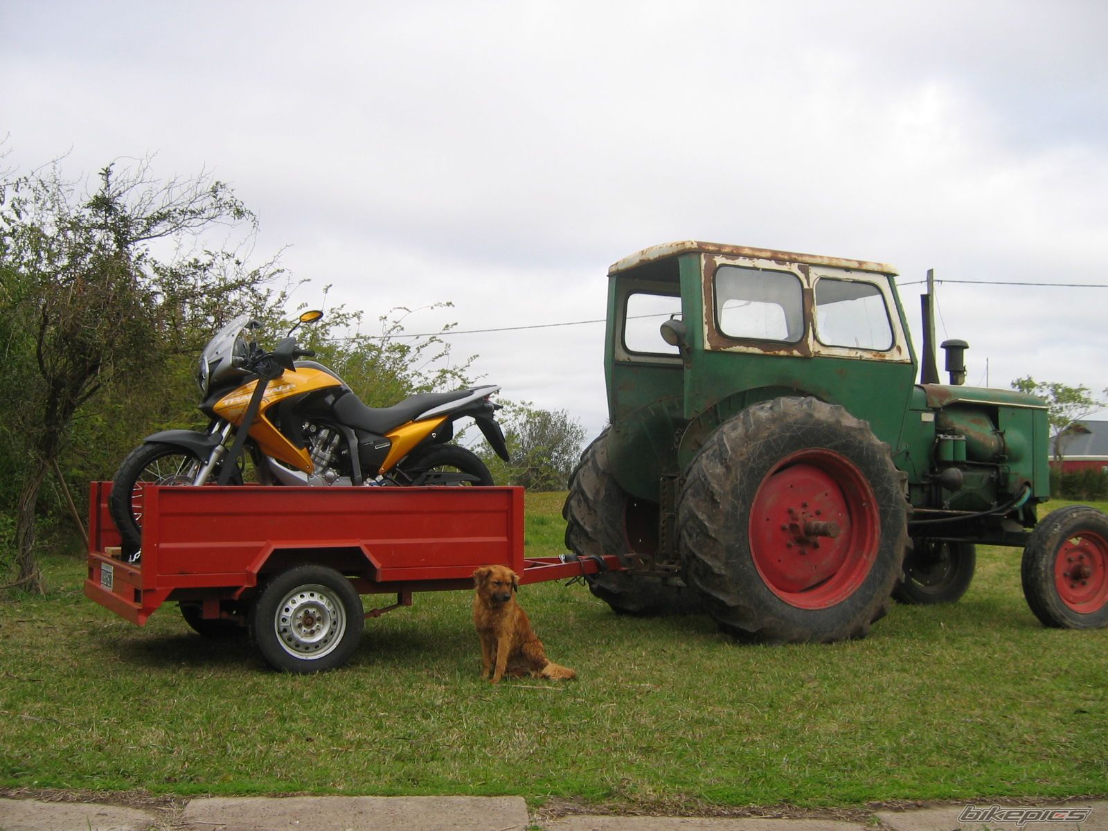 Photo 1392253
