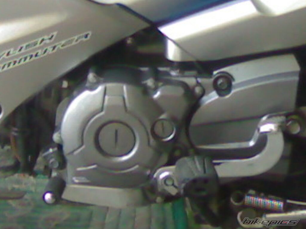 Photo 1392265