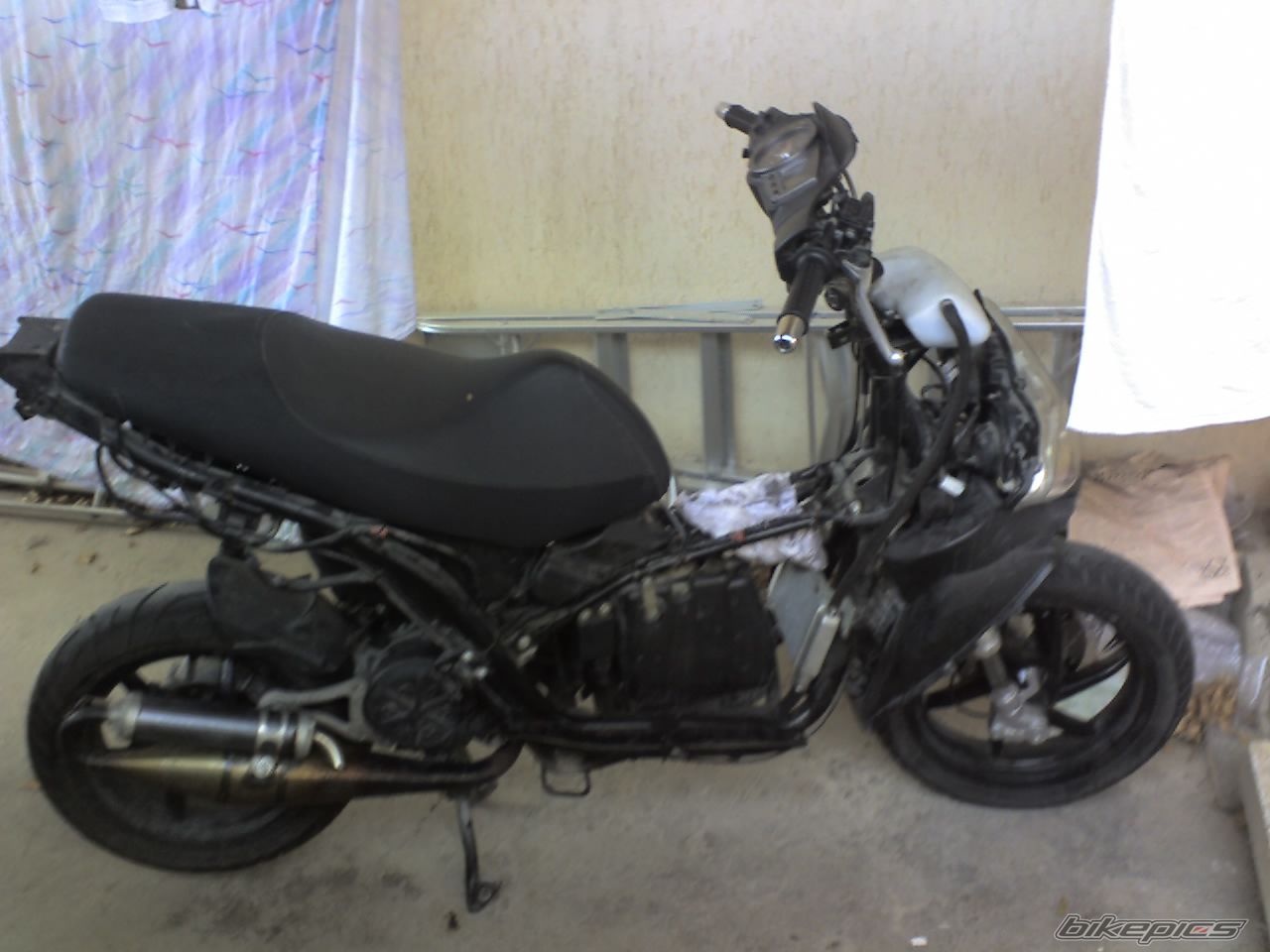 Photo 1392293