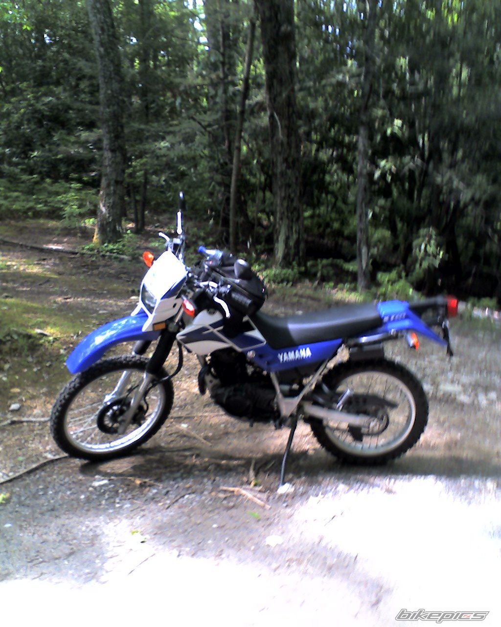 Photo 1392337