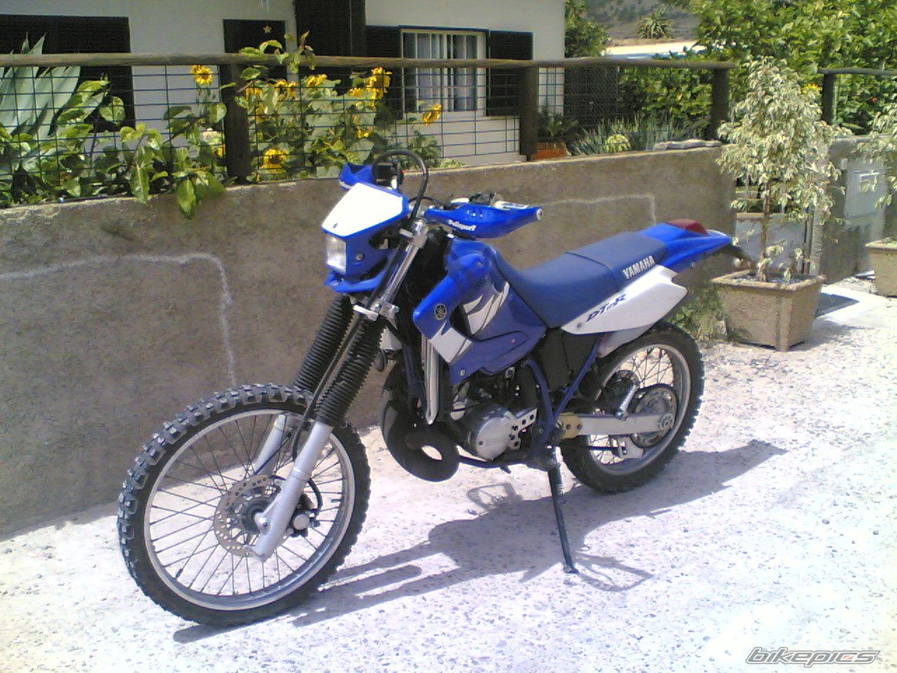 Photo 1392446
