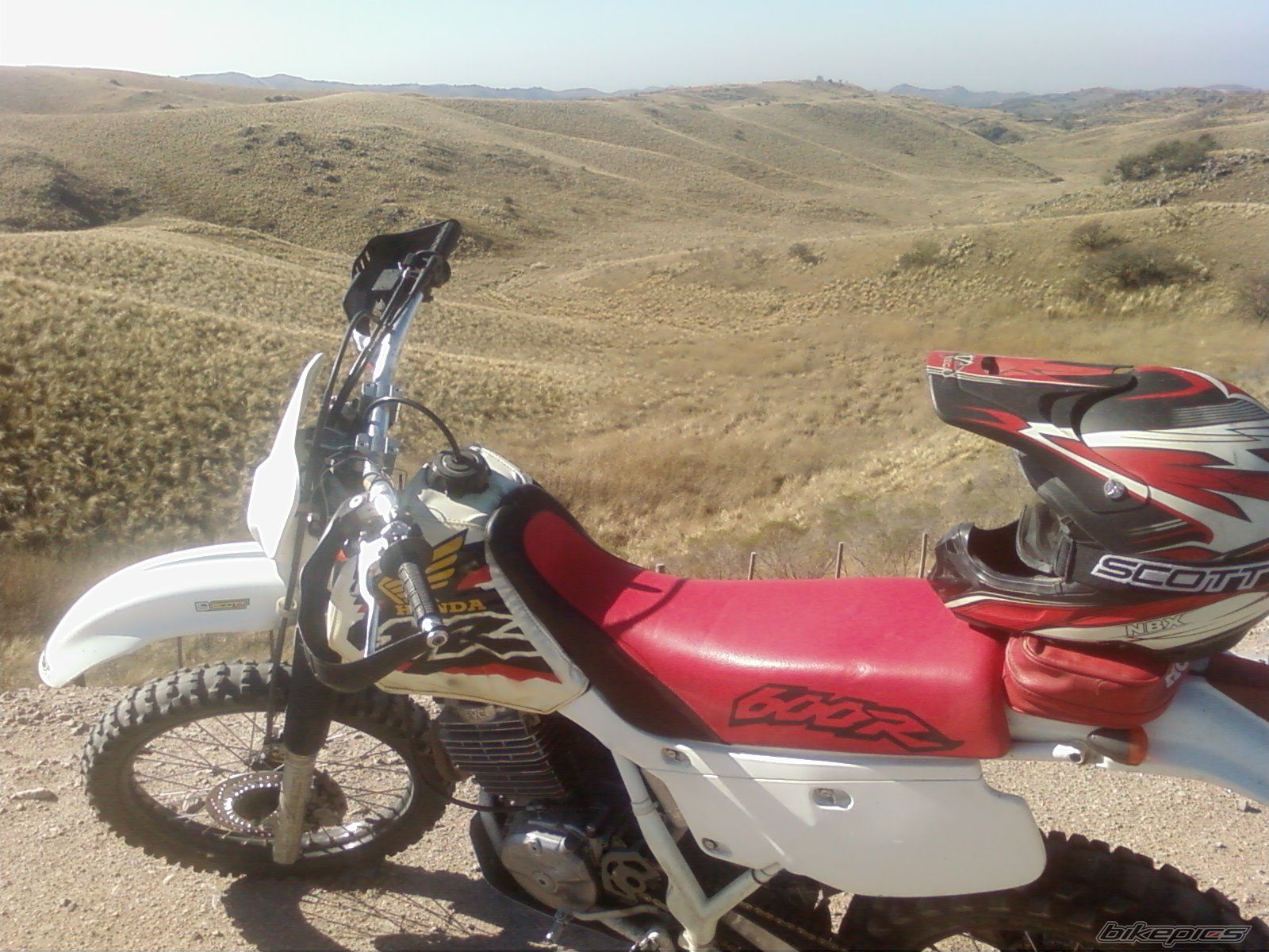 Photo 1392509