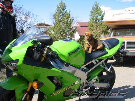 Photo 139256