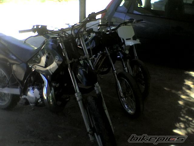 Bike Photo 1392601